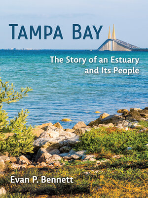 cover image of Tampa Bay